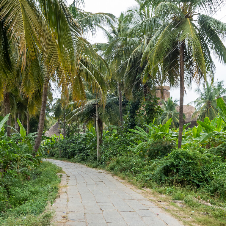 India 2014 - Hampi 110.jpg